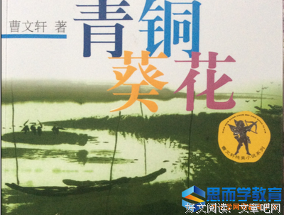 《永不言败》读后感锦集