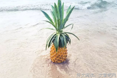 关于神清气爽的唯美语录