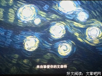 《至爱梵高》好看吗？经典观后感锦集