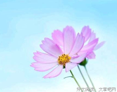 一息尚存的语句摘抄_关于一息尚存的语句