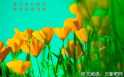关于勤勉的唯美语录