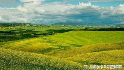 岁岁年年的语句摘抄_关于岁岁年年的语句