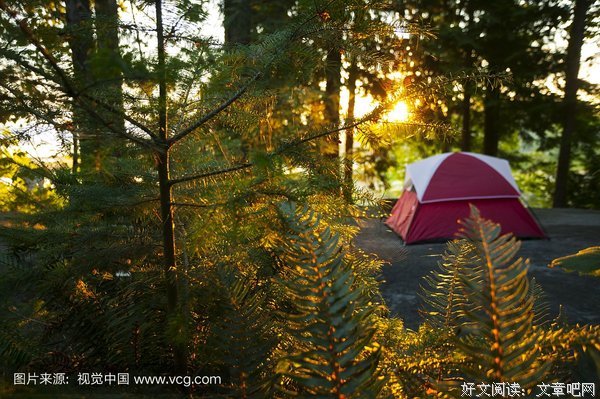 《温哥华的朝日》经典影评1000字