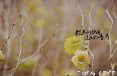 怀旧的句子