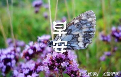 关于清风不如能烟雨的优美句子