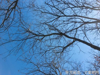 愿你是阳光，明媚不忧伤名句欣赏