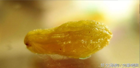 关于信手拾慧的优美句子