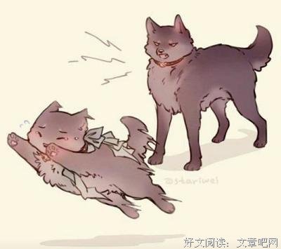 有关躲在怀是岁一心的猫的名句