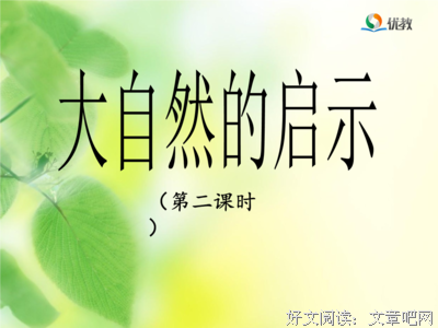 《我是怎么腐烂的》经典句子