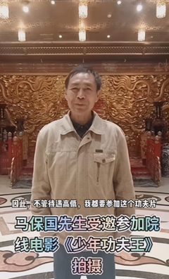 《少年功夫王》经典影评有感