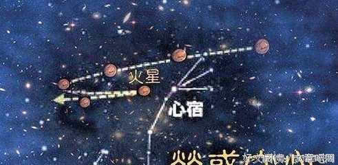 《不老奇事》影评100字