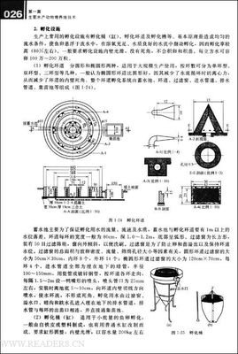 《鳗鱼的旅行》读后感100字