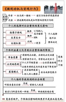 微观动机与宏观行为读后感100字