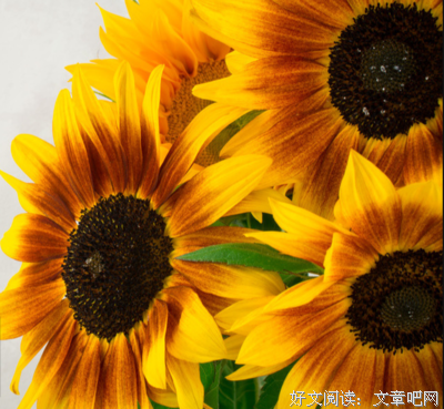 关于度日如年的语句