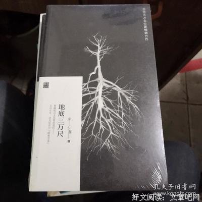 《地底三万尺》读后感1000字