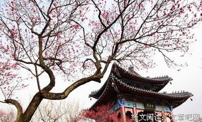 关于逍遥自在的格言