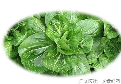 假以时日格言警句