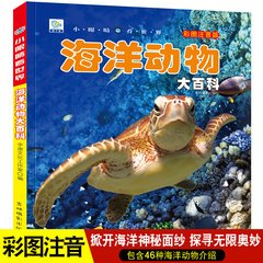小眼睛读后感锦集