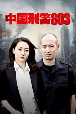 《中国刑警803》经典影评有感