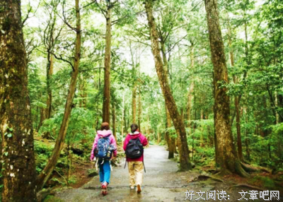 《青木原树海》好看吗？经典观后感锦集