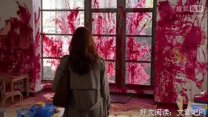 《劳拉之谜 第一季》经典影评集