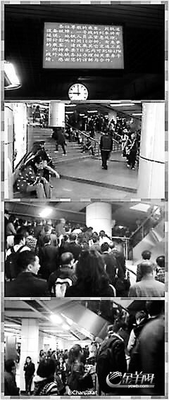 关于无独有偶的唯美语录