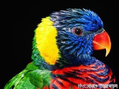 关于起风了，，的句子