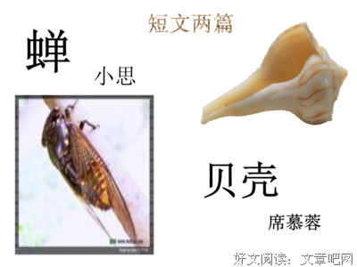 席慕蓉句子大全