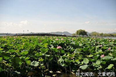 《文学吃那把里第将息》的句子