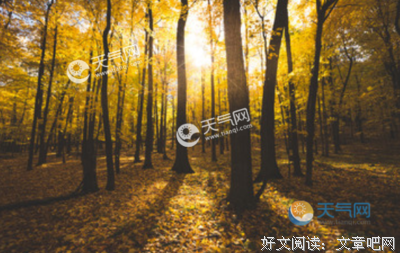 面对这个世界的优美句子