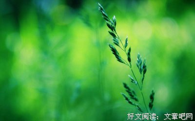 为渣男整容、做小三、自断明星路的她，如今想靠卖惨翻红？