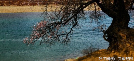 最经典的宅女一枝花名句欣赏