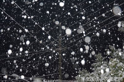 关于空城旧梦的名言