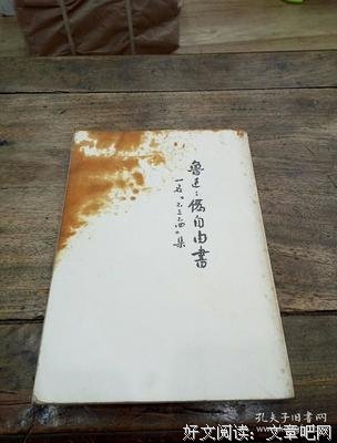《伪自由书》小说书摘