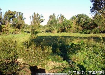 最经典的《萤虫睡在云朵上》经典的句子大全