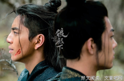 狼殿下（上冊）读后感100字