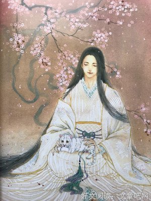 《浮云半书》读后感1000字