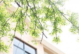 灵魂骑士读后感摘抄