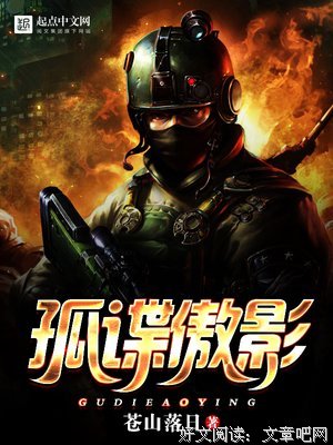 《寒风孤谍》读后感摘抄