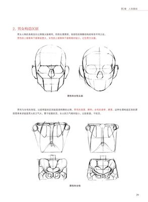 《伯里曼人体结构绘画教学》读后感锦集