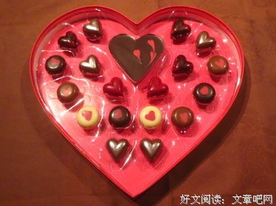 《爱尔兰日记》读后感100字