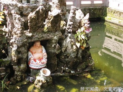 《千江有水千江月》读后感锦集