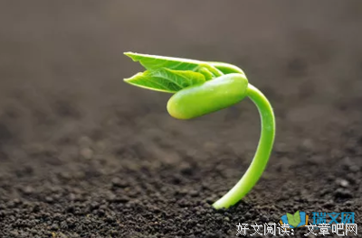 你是野兽的读后感大全