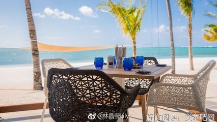 《寿司与全球渔获》观后感摘抄