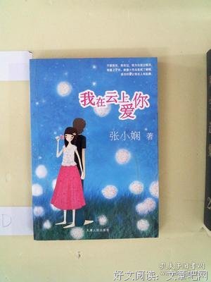 我在云上爱你读后感锦集
