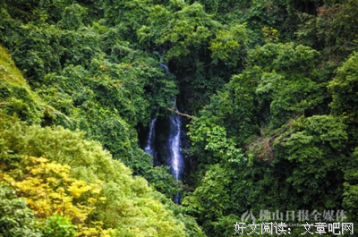 《林中小屋》观后感100字