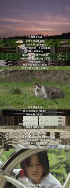 《小森林 夏秋篇》观后感摘抄