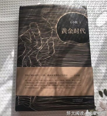 王小波经典作品读后感1000字