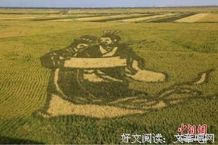 《凤求凰》的观后感大全