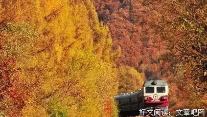 《尽管如此世界依然美丽》观后感摘抄